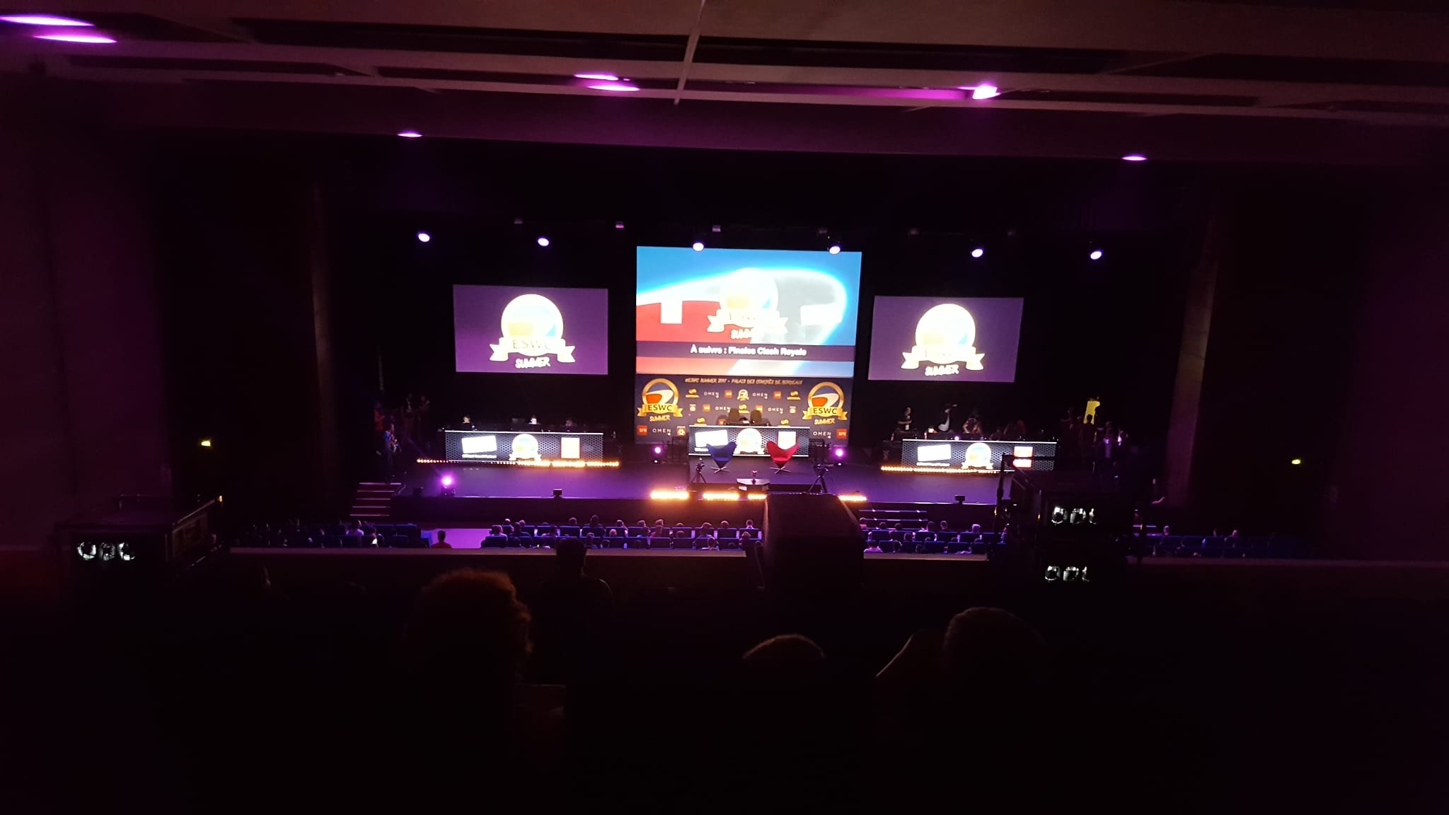 esport marques et clubs professionels